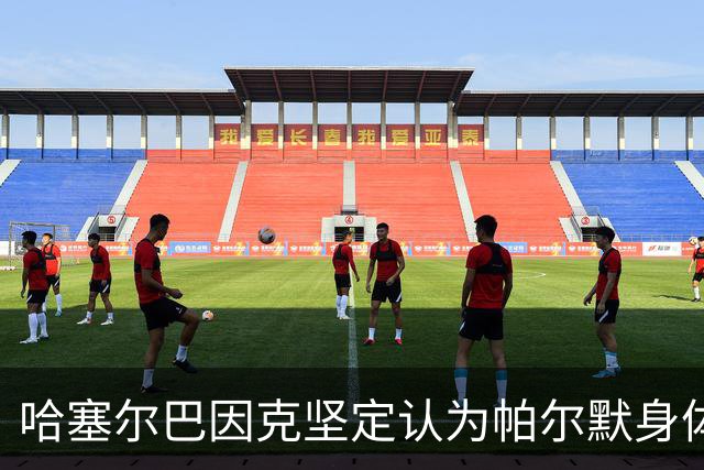 哈塞尔巴因克坚定认为帕尔默身体状况确实存在问题