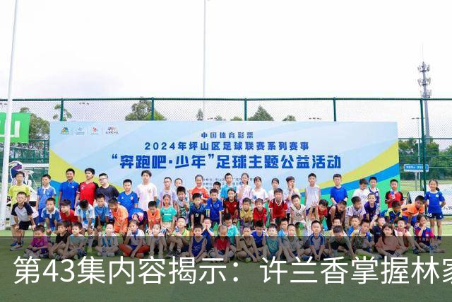 第43集内容揭示：许兰香掌握林家家规，展现全新威严形象